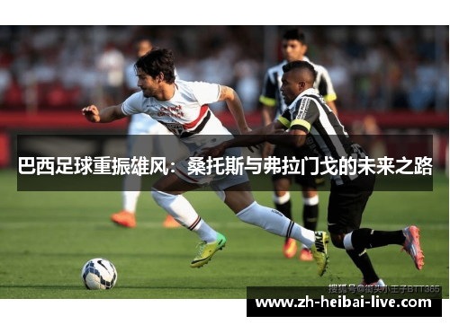 巴西足球重振雄风:桑托斯与弗拉门戈的未来之路 巴西足球重振雄风:桑托斯与弗拉门戈的未来之路