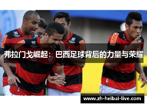 弗拉门戈崛起:巴西足球背后的力量与荣耀 弗拉门戈崛起:巴西足球背后的力量与荣耀